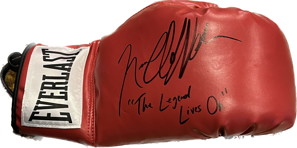 Ernest Shackleton Succesvol Reflectie Red Personalized Autographed Boxing Glove – Team Nico Shop